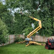 Best Tree Preservation Services  in Jeannette, PA